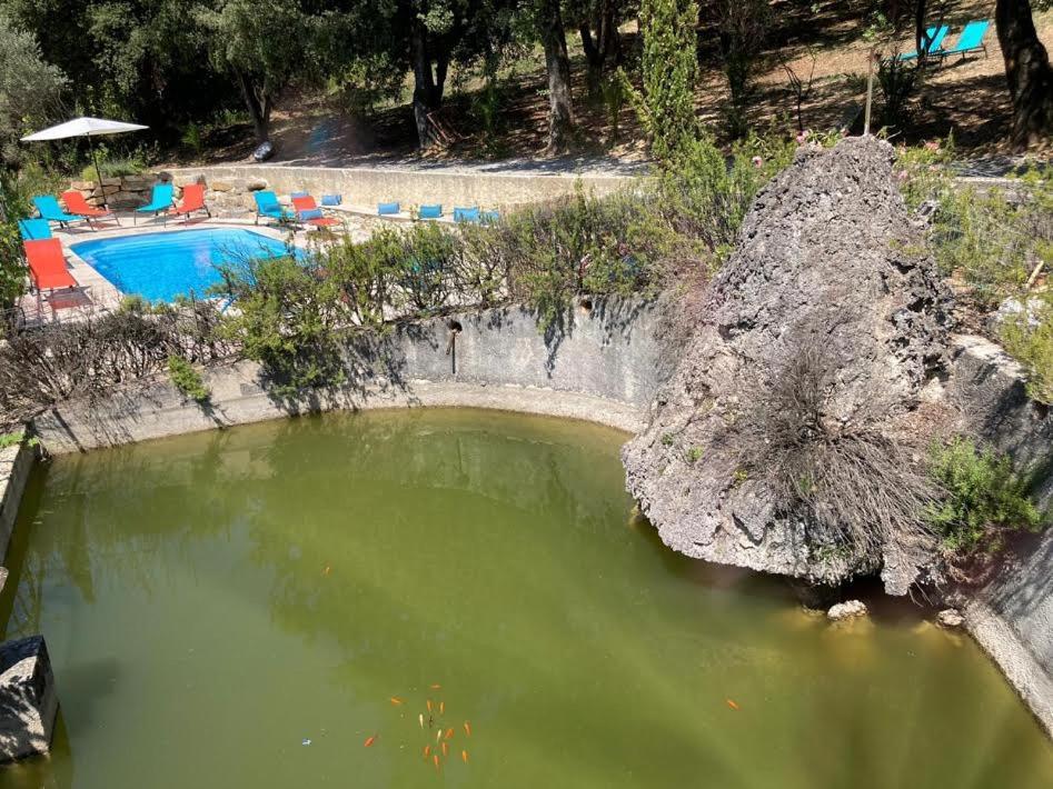 Les Horizons - Spa-Jacuzzi - Massage- Sauna - 4 Saisons - Piscine Chauffee Toute L'Annee - 800M Centre Ville ניונס מראה חיצוני תמונה