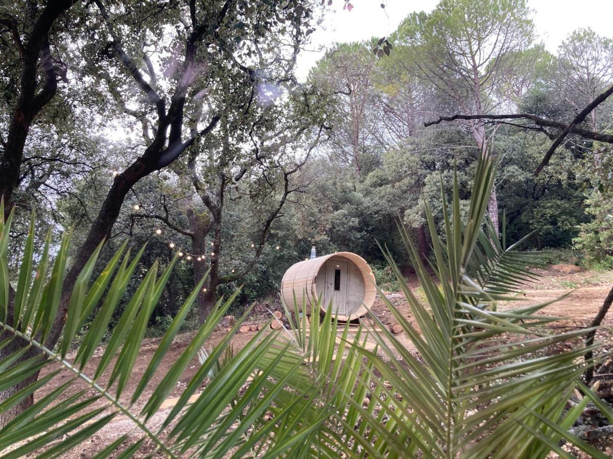 Les Horizons - Spa-Jacuzzi - Massage- Sauna - 4 Saisons - Piscine Chauffee Toute L'Annee - 800M Centre Ville ניונס מראה חיצוני תמונה
