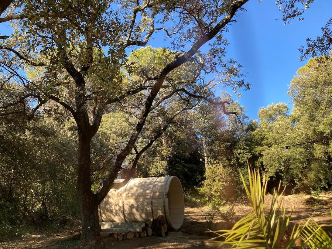Les Horizons - Spa-Jacuzzi - Massage- Sauna - 4 Saisons - Piscine Chauffee Toute L'Annee - 800M Centre Ville ניונס מראה חיצוני תמונה