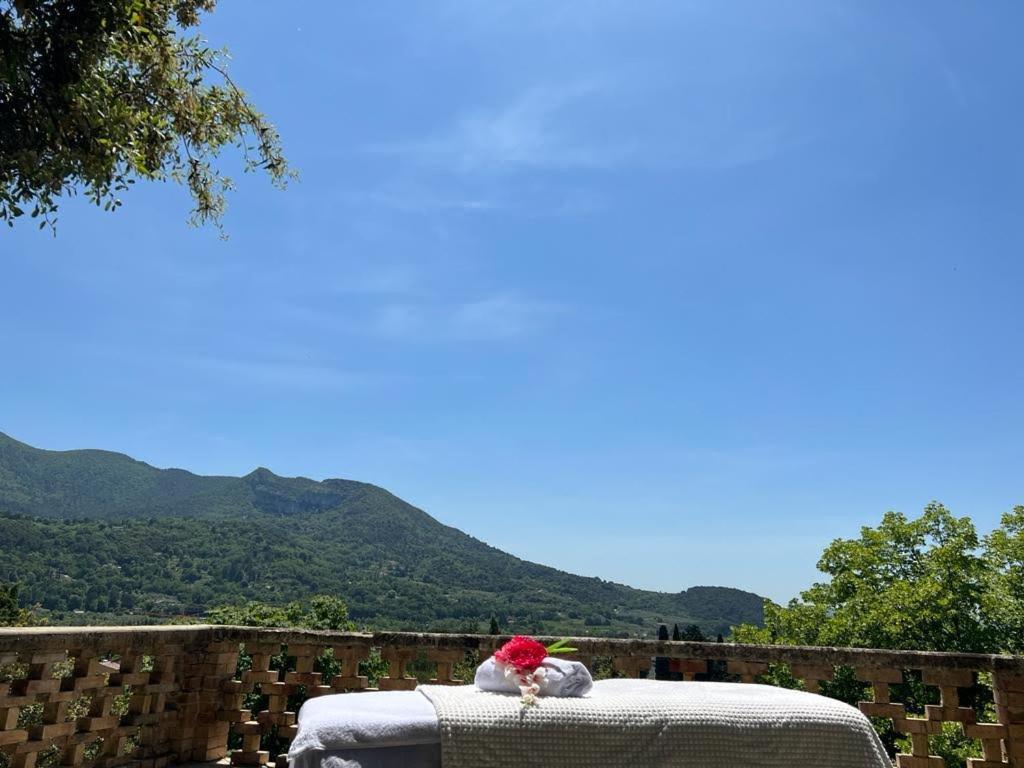 Les Horizons - Spa-Jacuzzi - Massage- Sauna - 4 Saisons - Piscine Chauffee Toute L'Annee - 800M Centre Ville ניונס מראה חיצוני תמונה