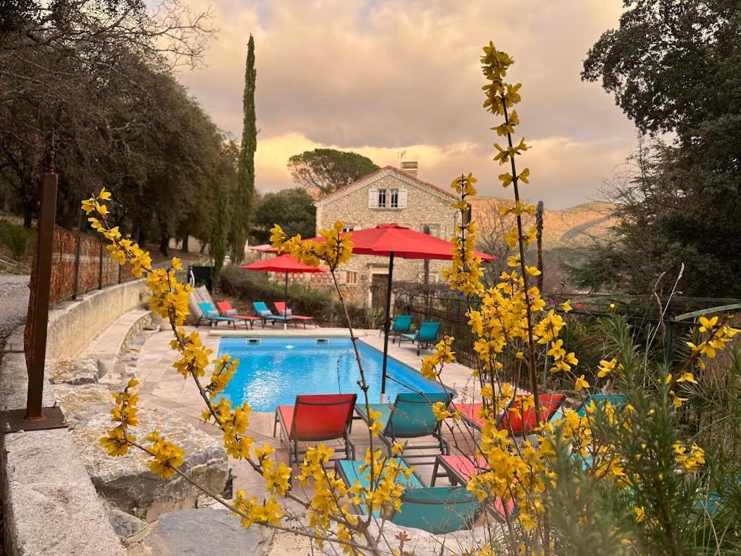Les Horizons - Spa-Jacuzzi - Massage- Sauna - 4 Saisons - Piscine Chauffee Toute L'Annee - 800M Centre Ville ניונס מראה חיצוני תמונה
